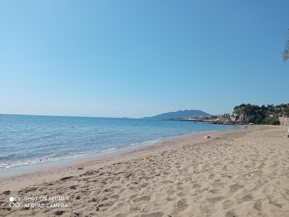 Xaido's House Near Airport Port Sea Апартаменты Луца